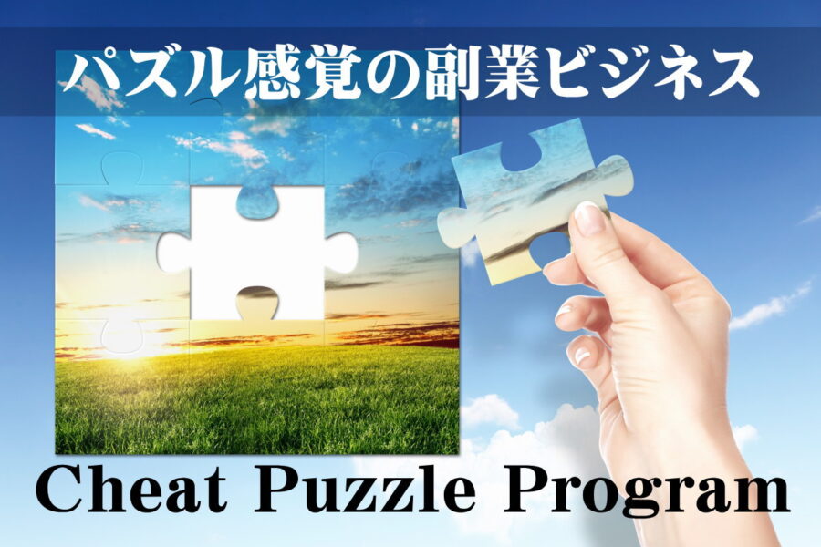 Cheat Puzzle Program