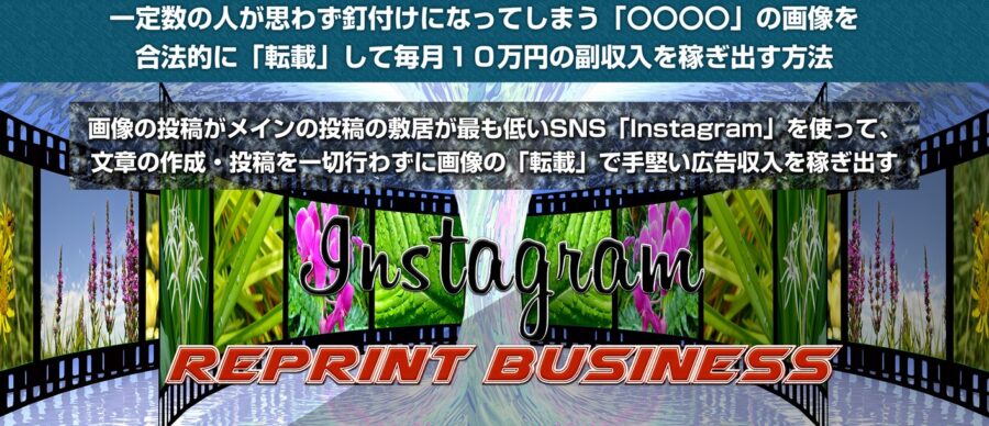 Instagram Reprint business